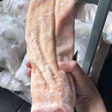 深海鲨鱼肚，鲨鱼肚条，厂家直接供应！欢迎垂询！