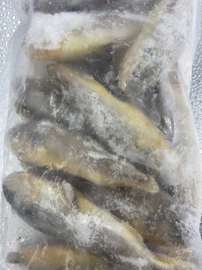 黄花鱼特价干冻小黄鱼新鲜小黄鱼