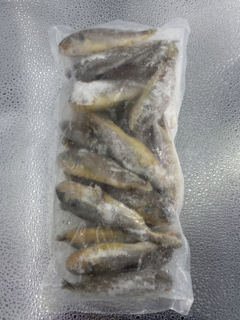 黄花鱼特价干冻小黄鱼新鲜小黄鱼