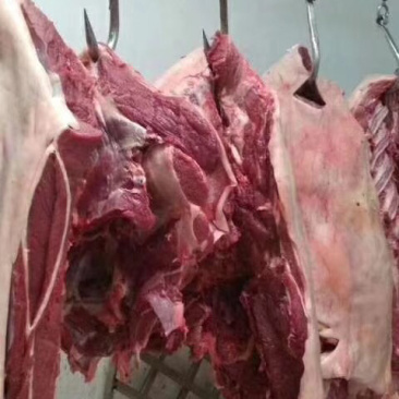 精品驴肉厂家一手货源发货