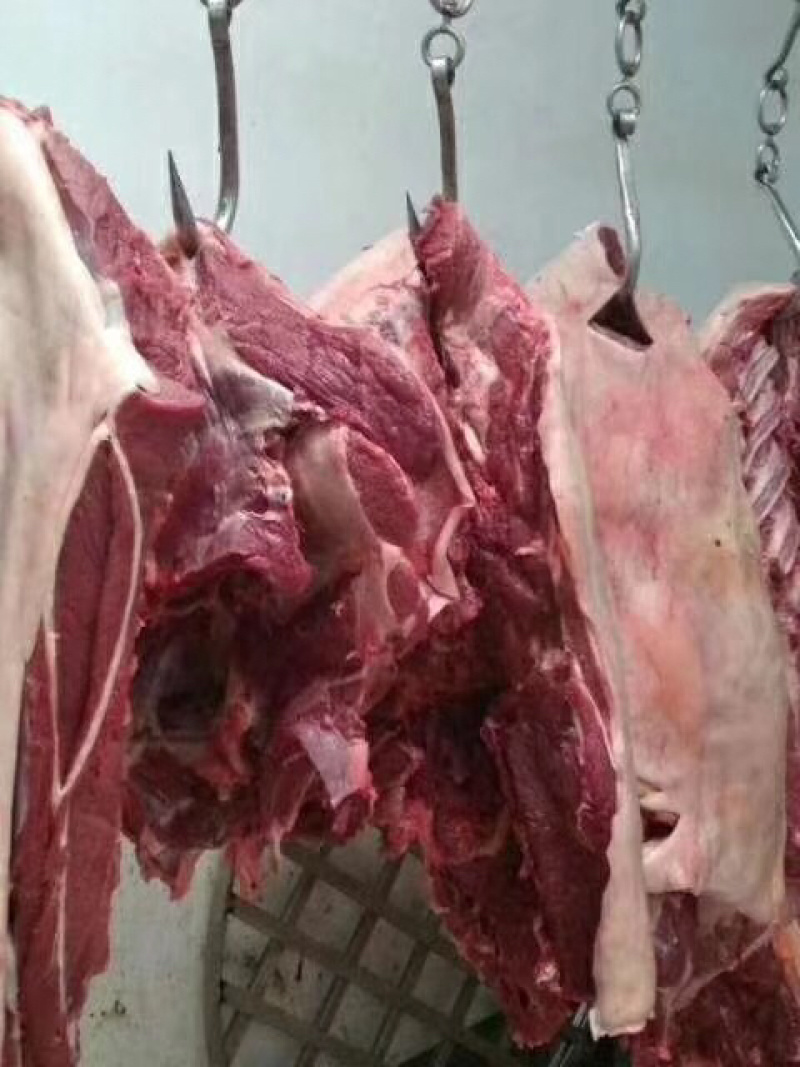 精品驴肉厂家一手货源发货