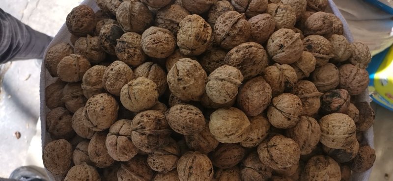 大理漾濞核桃