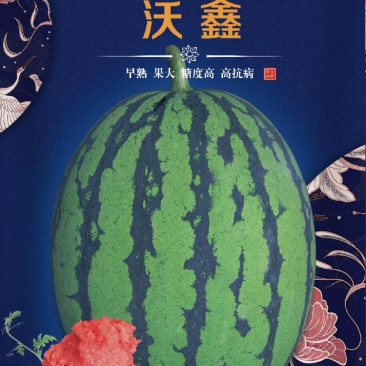 优质西瓜种子，沃星西瓜种子