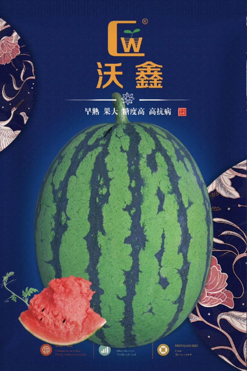优质西瓜种子，沃星西瓜种子