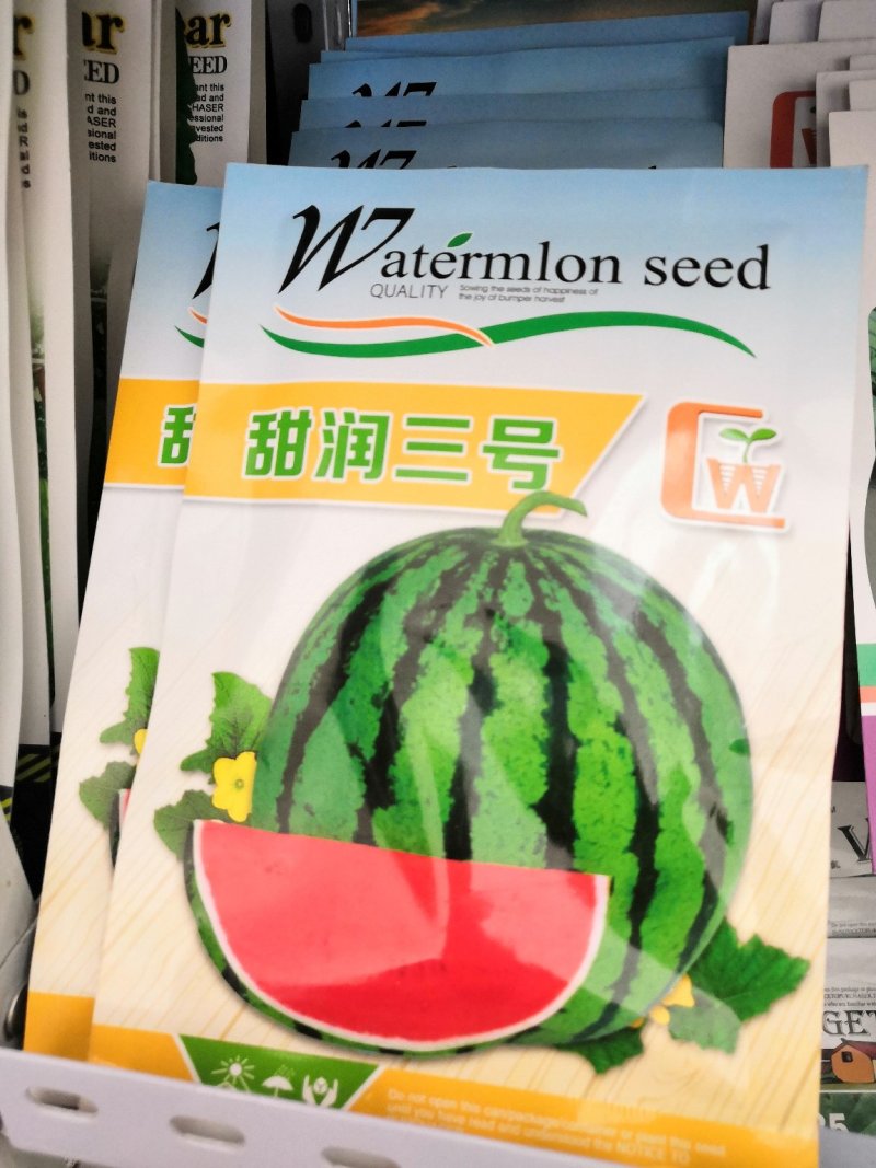 优质西瓜种子，沃星西瓜种子
