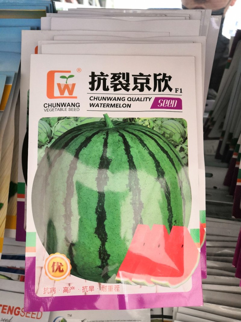 优质西瓜种子，沃星西瓜种子