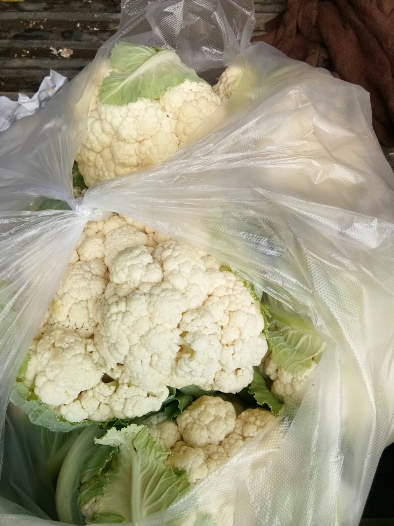 花菜