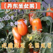 【小番茄】409小柿子，花生柿子〔皮薄肉多现摘现发〕