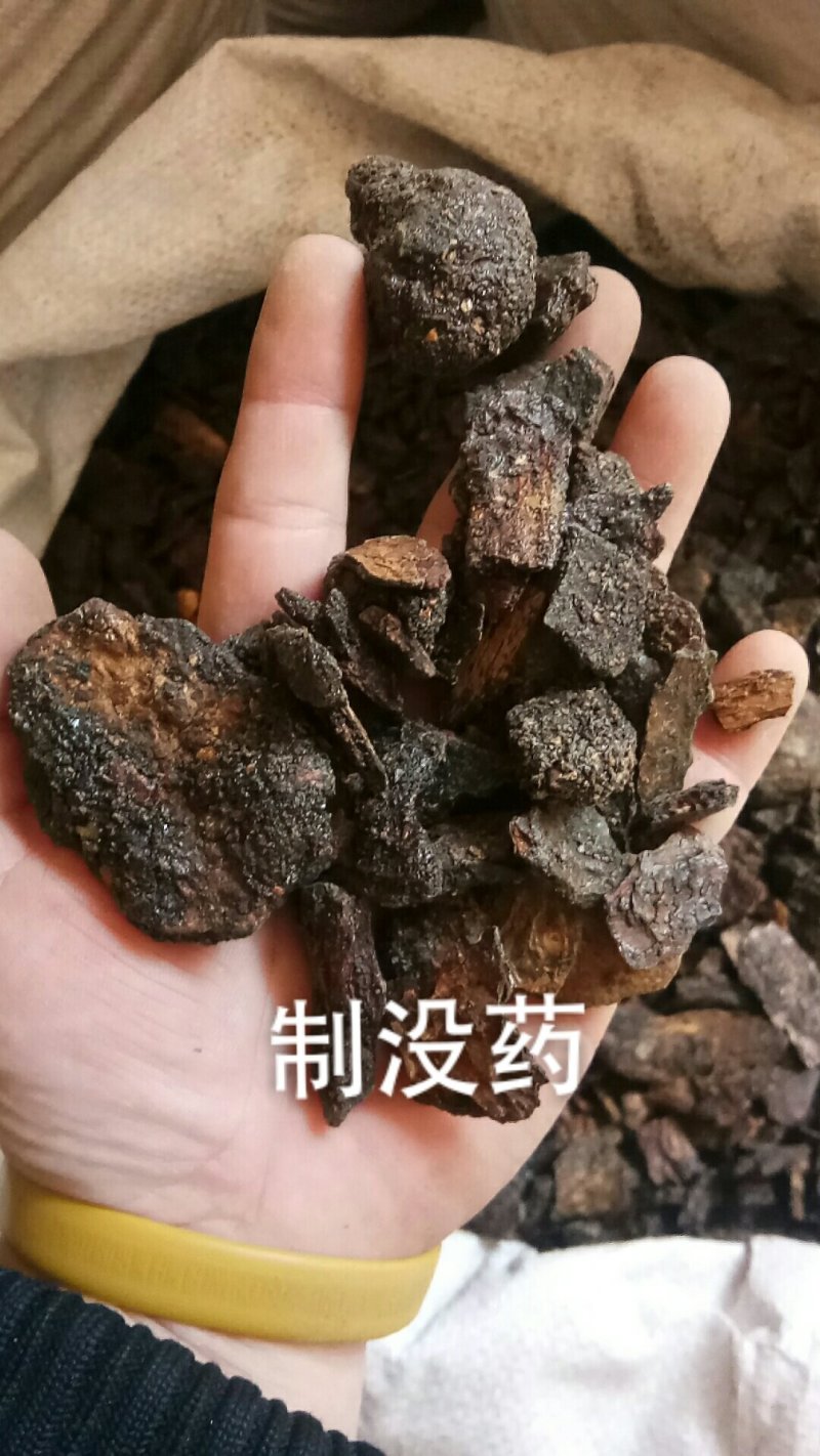 没药制末药生没药没药各种中药材