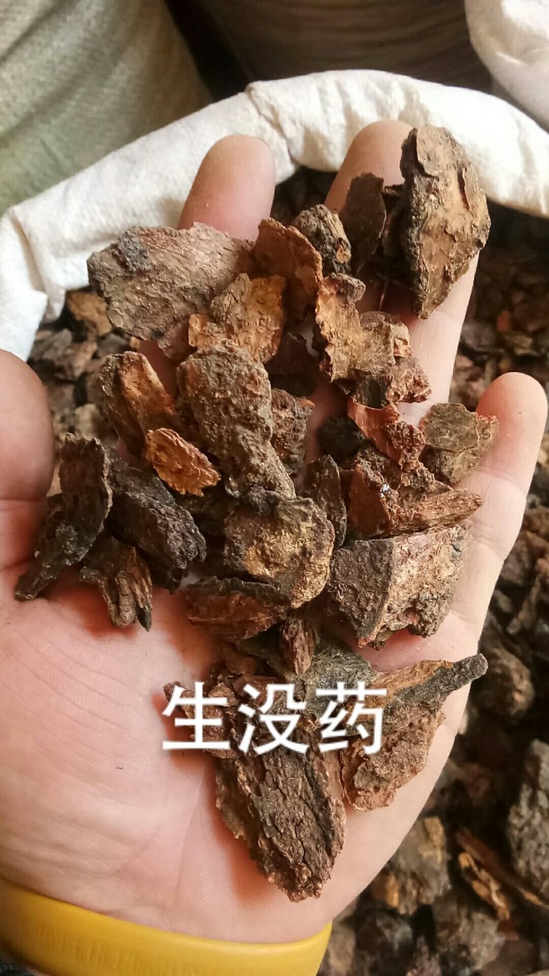 没药制末药生没药没药各种中药材