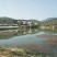 小龙虾，各种规格小龙虾苗，基地直供，量大直供