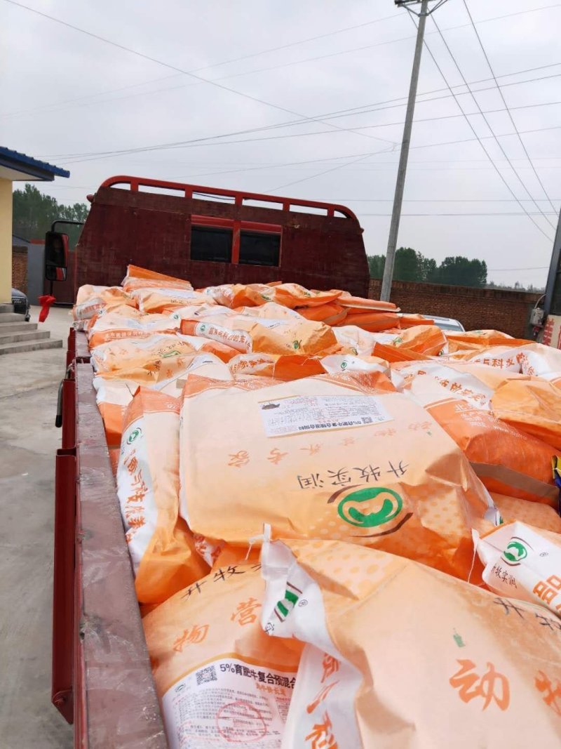 母猪10%哺乳母猪预混料高档哺乳母猪料核心母猪专用预混料