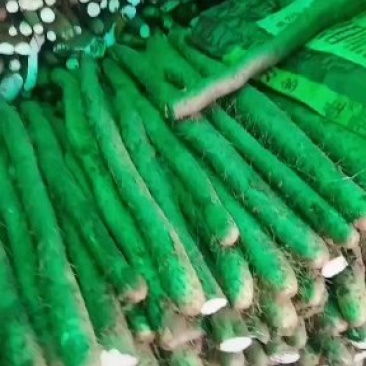 白玉山药