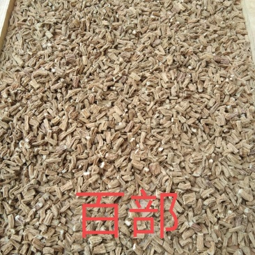 百部湖北产野生百部根干货水洗散装