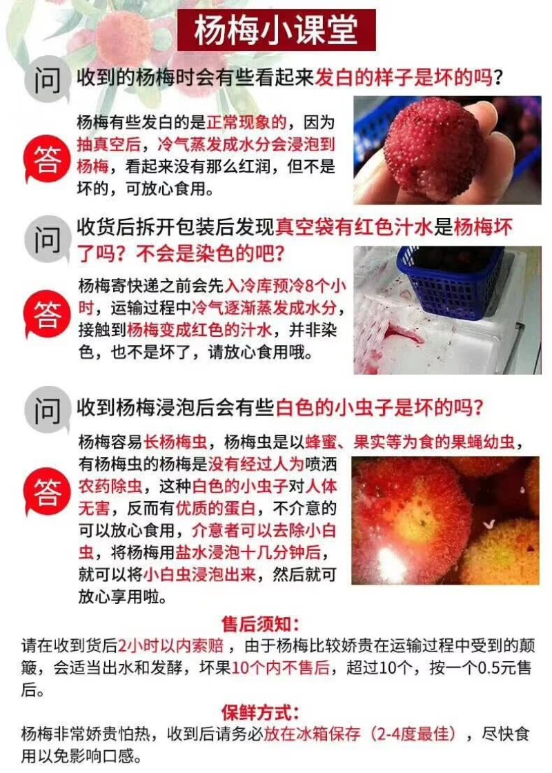 精品杨梅（产地代办）一件代发邀实力批发商电商