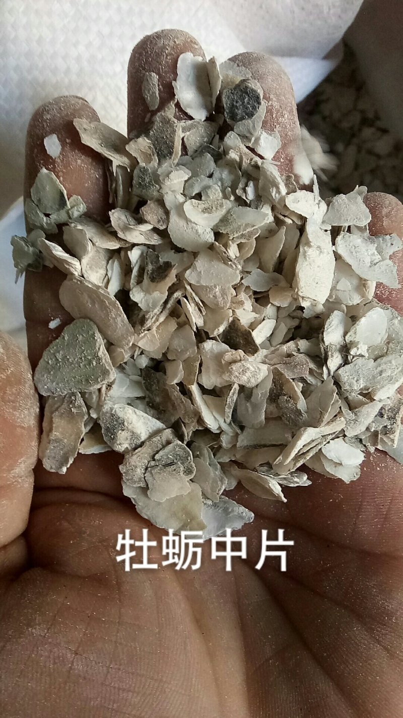 牡蛎片中药材生牡蛎片煅牡蛎牡蛎中药材