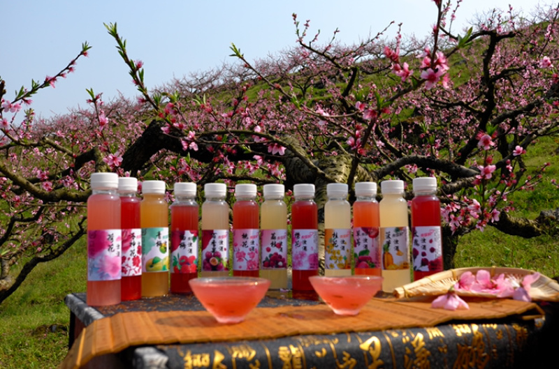 贵州省黄氏酒厂花果酒桃花酒青梅酒厂家直销贴牌加工