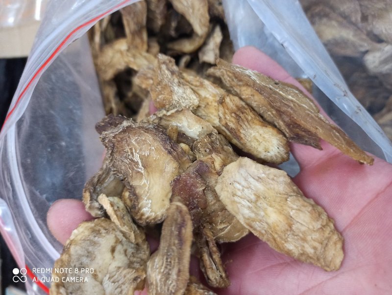 肉苁蓉生片去皮生吃片各种规格厂家直销量大优惠
