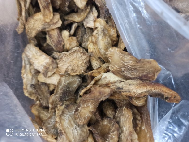 肉苁蓉生片去皮生吃片各种规格厂家直销量大优惠