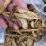 肉苁蓉生片去皮生吃片各种规格厂家直销量大优惠