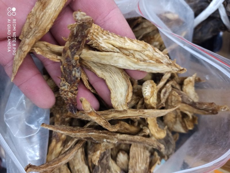 肉苁蓉生片去皮生吃片各种规格厂家直销量大优惠