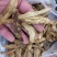 肉苁蓉生片去皮生吃片各种规格厂家直销量大优惠