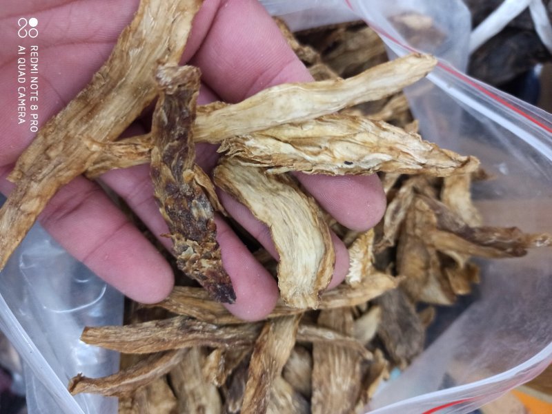 肉苁蓉生片去皮生吃片各种规格厂家直销量大优惠