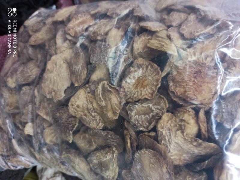 肉苁蓉生片去皮生吃片各种规格厂家直销量大优惠
