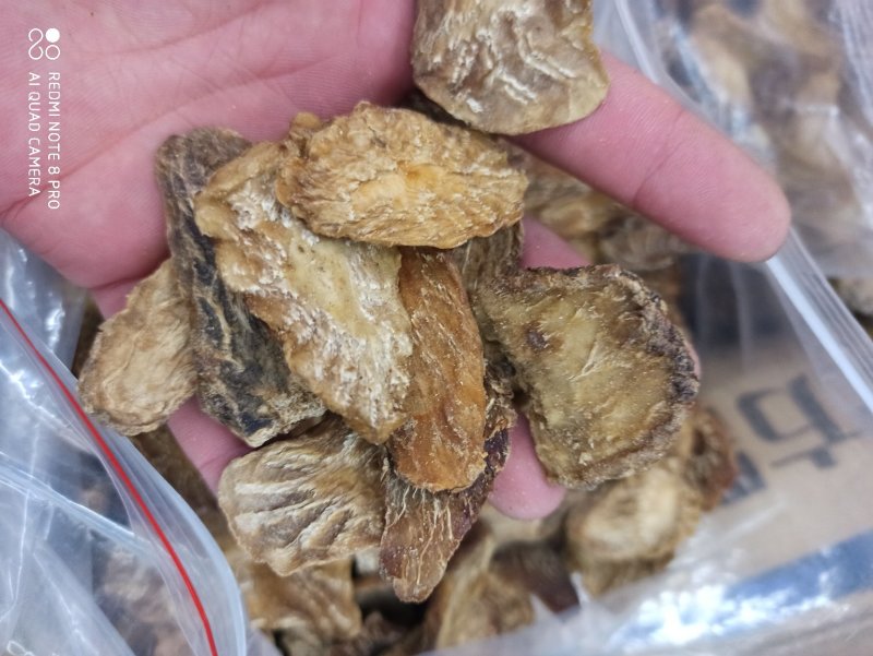 肉苁蓉生片去皮生吃片各种规格厂家直销量大优惠