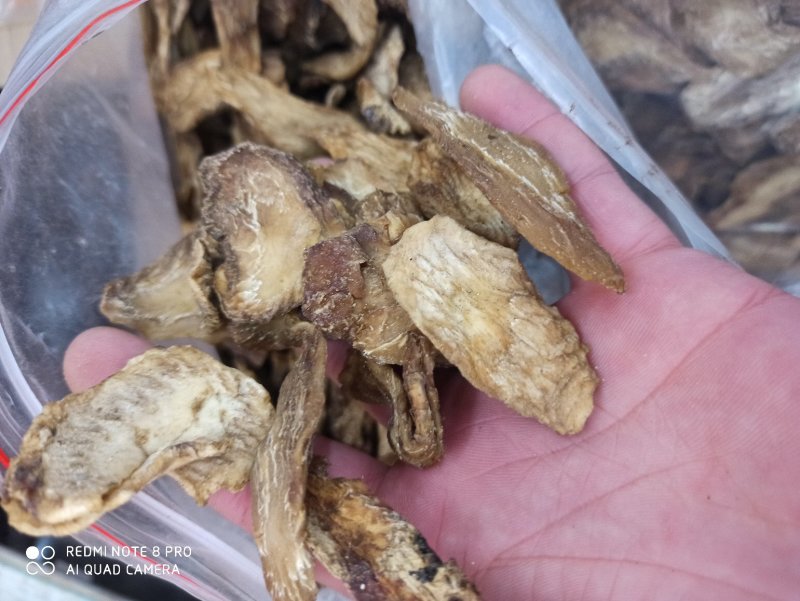 肉苁蓉生片去皮生吃片各种规格厂家直销量大优惠