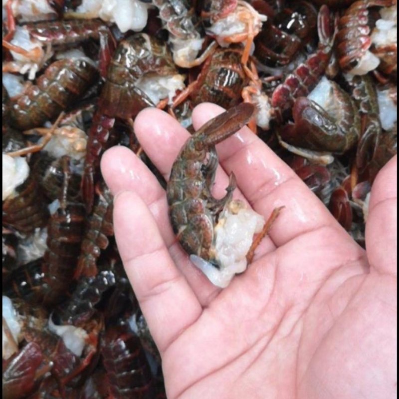 龙虾球皮薄肉厚味道鲜美，分别是一级，二级，三级，货源充足