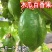 木瓜百香果苗香蜜木瓜百香果苗正品嫁接苗产量高果实大