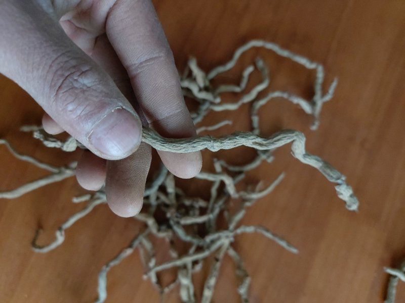 肇庆巴戟天中药材巴戟干货巴戟天德庆巴戟四级干巴长期供货