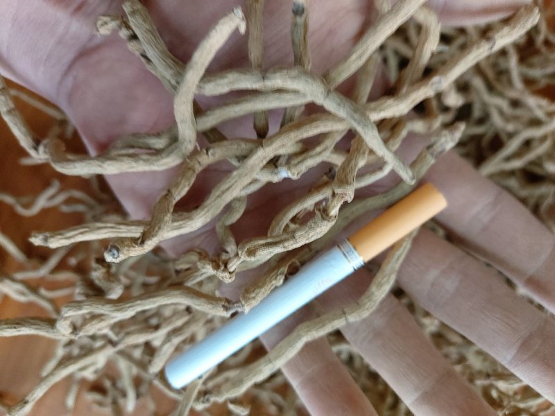 肇庆巴戟天中药材巴戟干货巴戟天德庆巴戟四级干巴长期供货