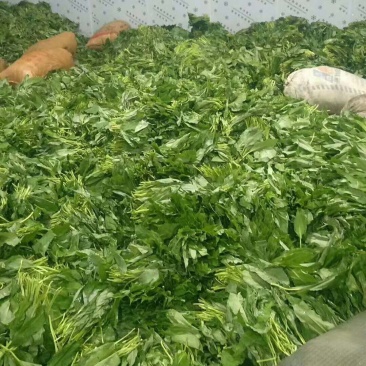 我们老家叫山片有的地方叫629