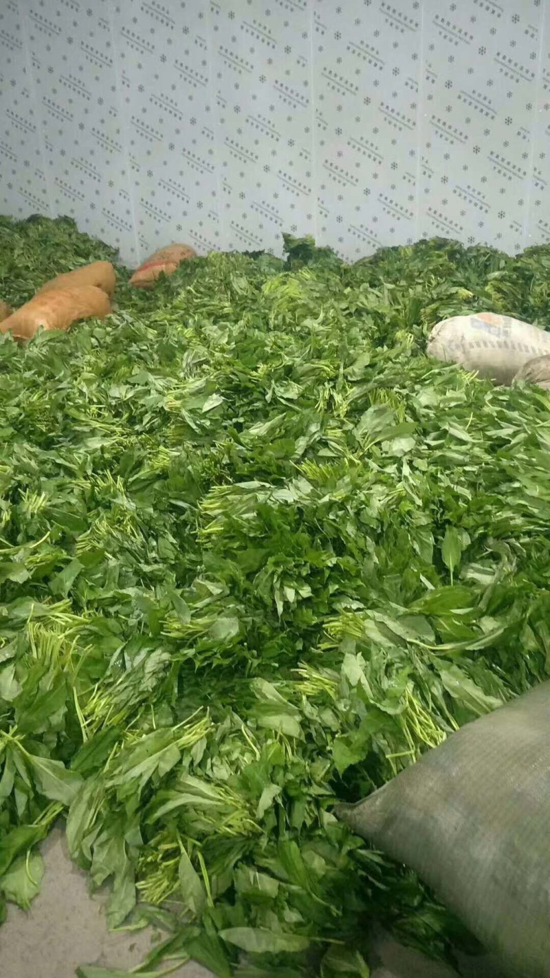 我们老家叫山片有的地方叫629