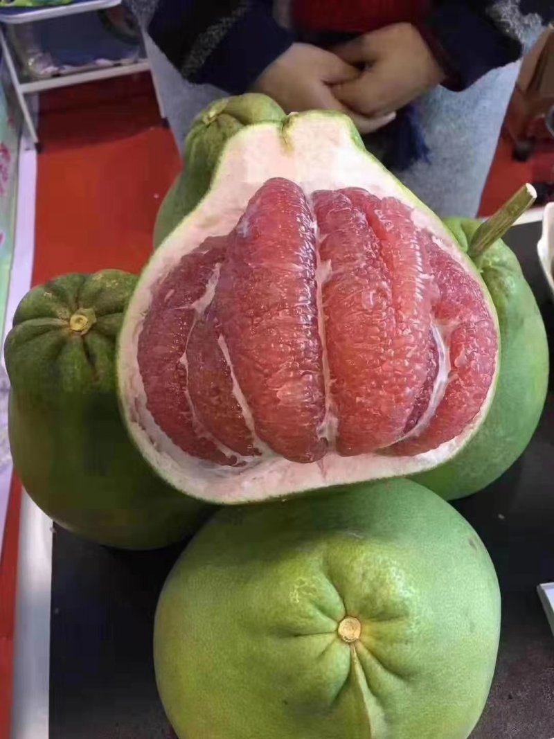 泰国青皮柚苗泰国青皮红心柚子苗