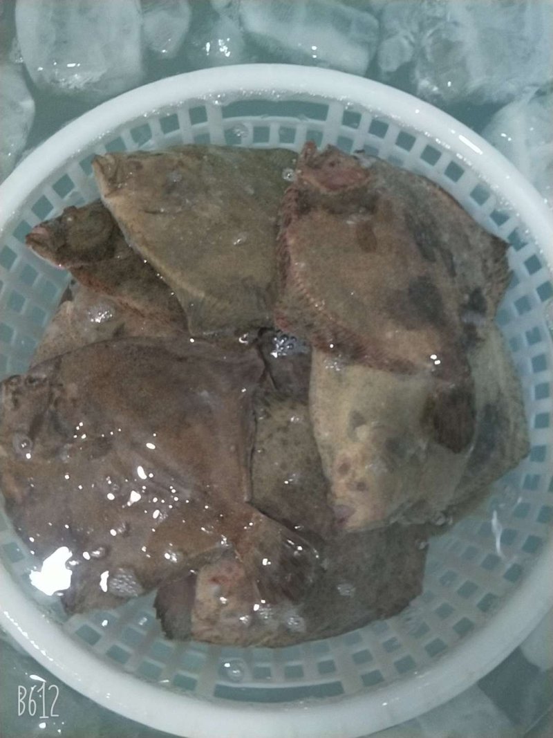 冷冻，冰鲜，真空，多宝鱼