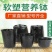 加厚营养钵育苗杯黑色，果树蔬菜育苗袋好用放心