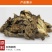 羌活中药材1斤包邮秦岭野外生长新货无硫蚕羌竹节羌活片散装