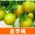 皇帝柑苗早熟品种皮薄肉厚果子清甜无酸味