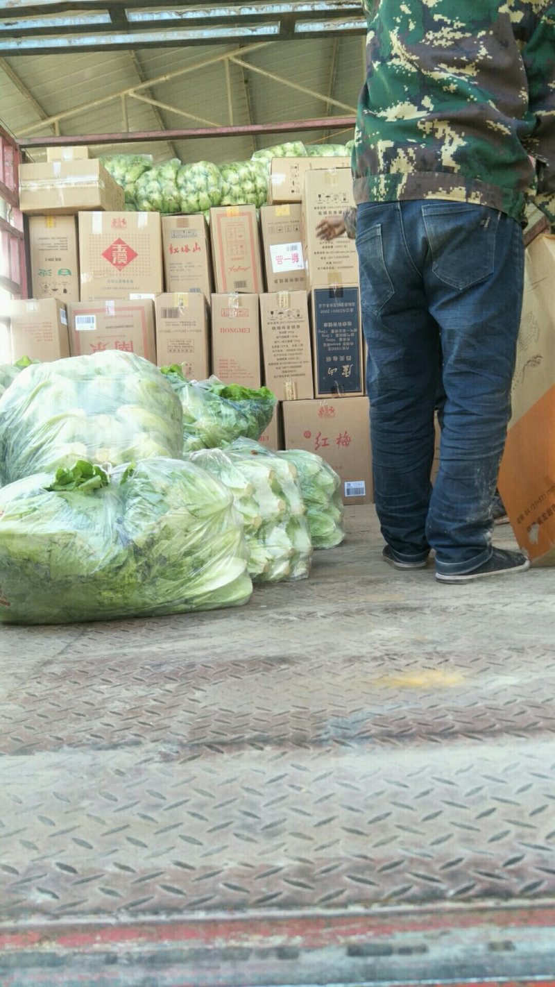 意大利生菜4两~5两，意大利生菜，可视频，可现场