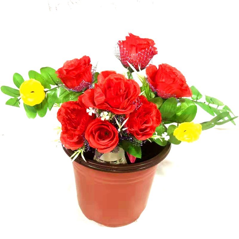 双色花盆普通型性育苗花盆营养钵，简易花盆种植苗