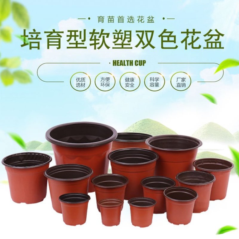 双色花盆普通型性育苗花盆营养钵，简易花盆种植苗