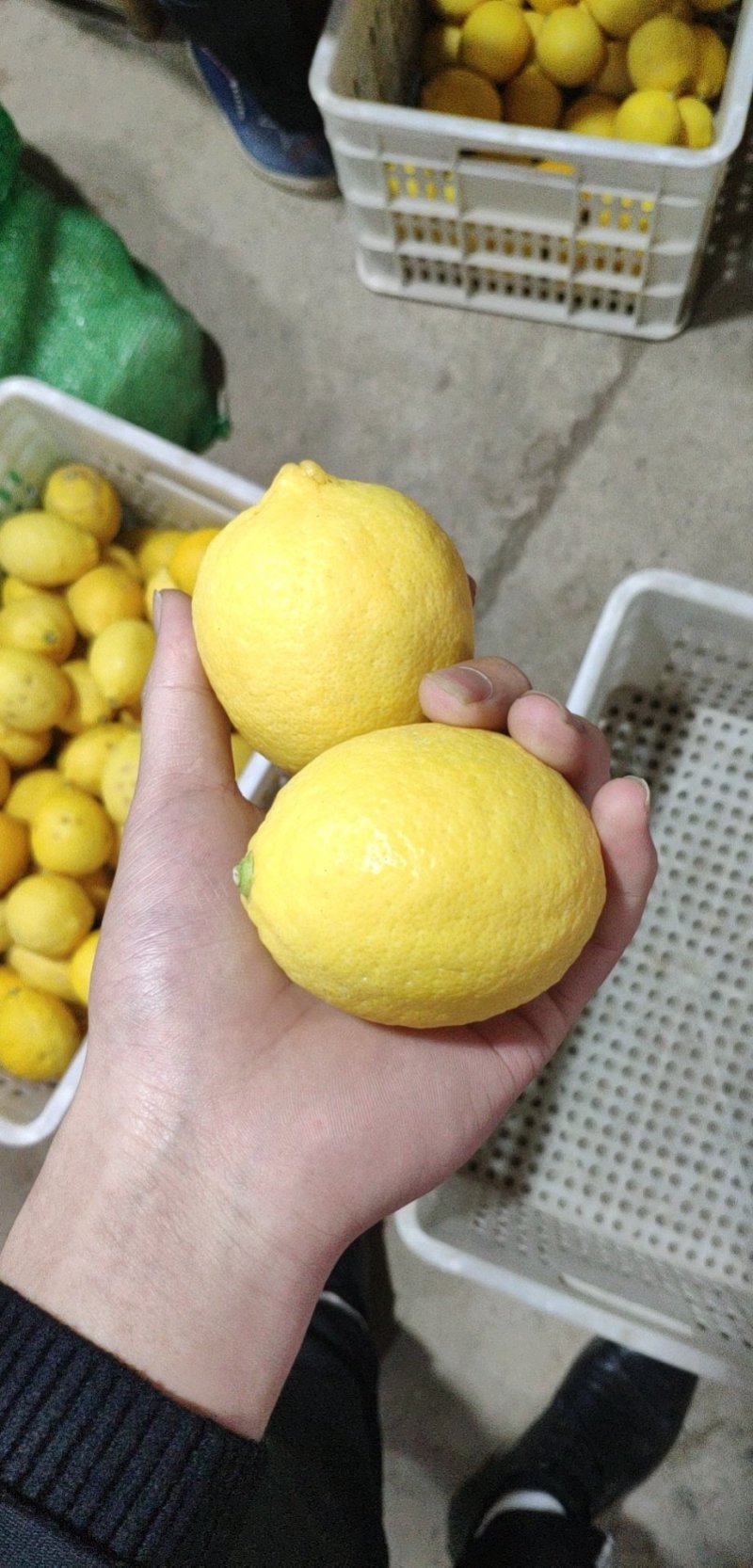 应季水果黄柠檬带箱6斤装