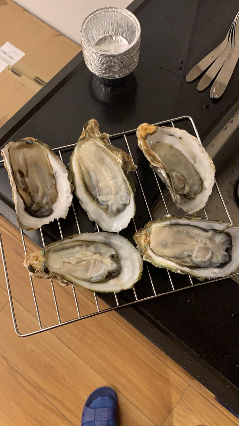 阳江程村肥蚝,净重8斤含冰10斤,烧烤批发价优,次日达