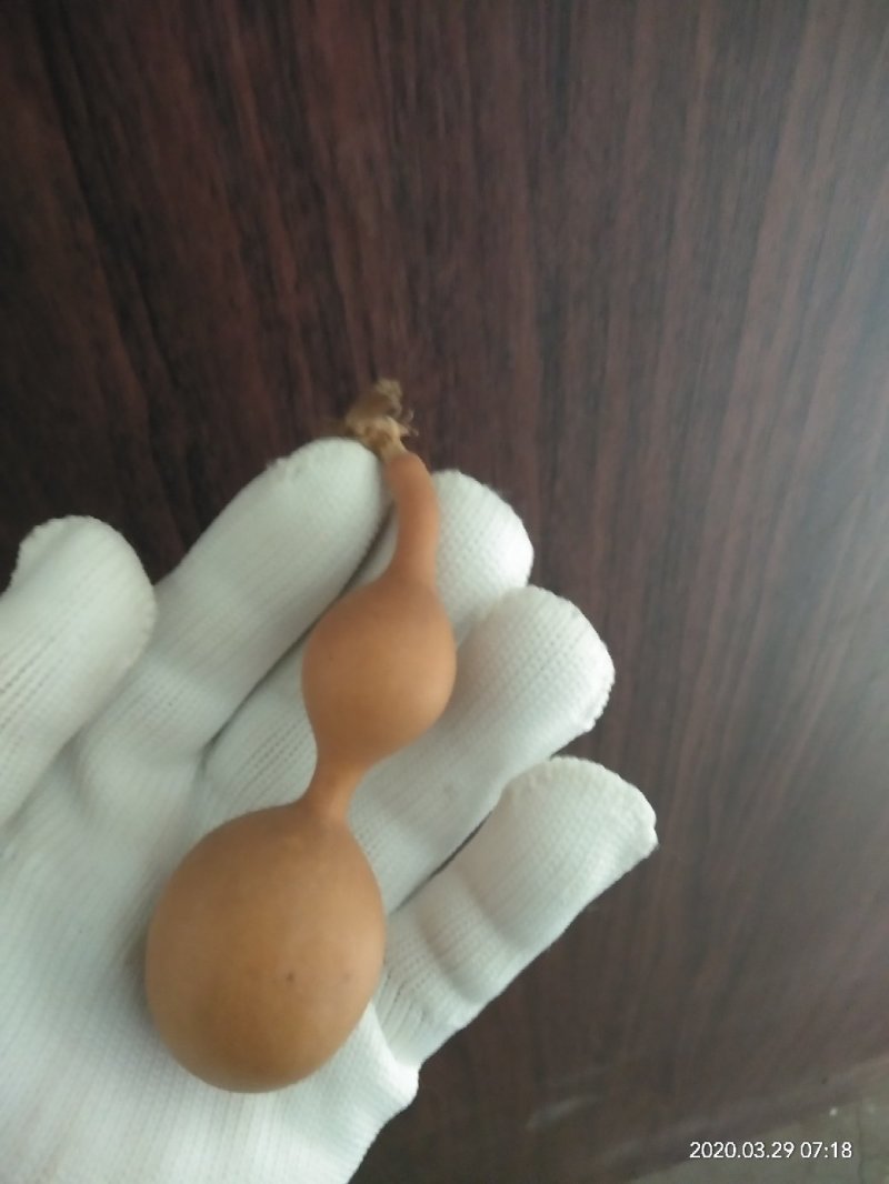 8把小蚂蚁葫芦，把玩葫芦。