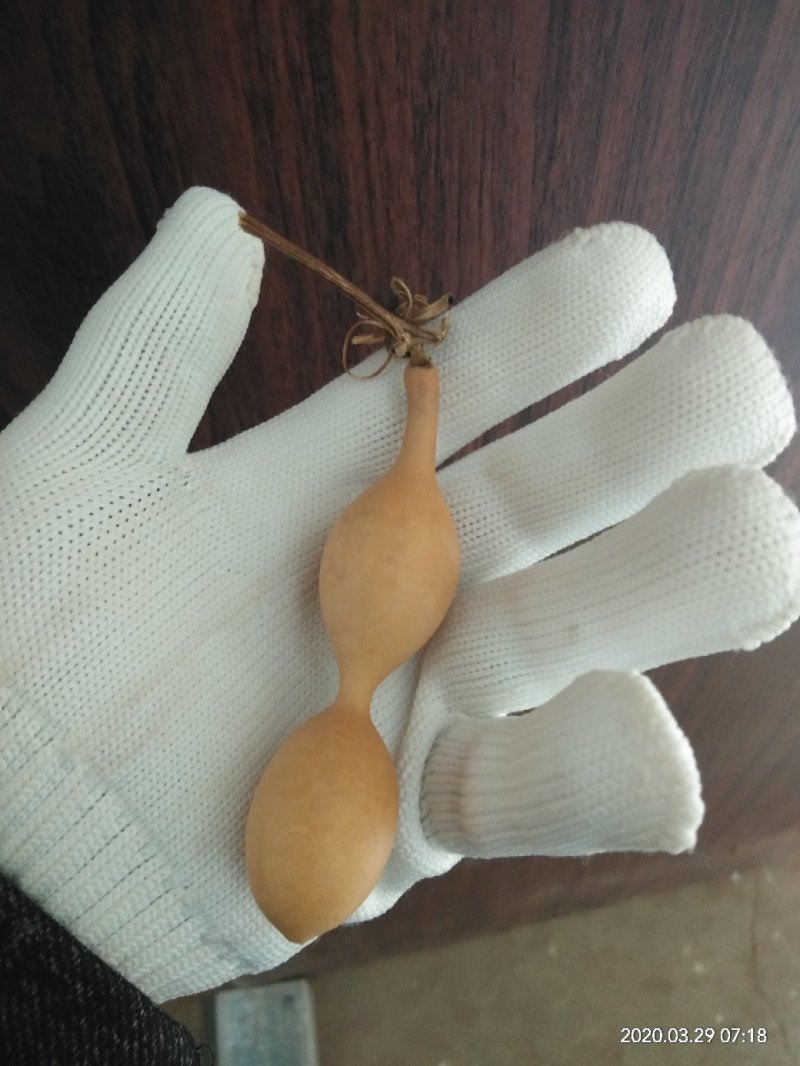 8把小蚂蚁葫芦，把玩葫芦。