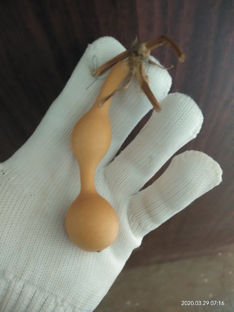 8把小蚂蚁葫芦，把玩葫芦。