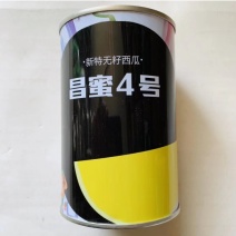 昌蜜4号新特无籽黑皮西瓜种子